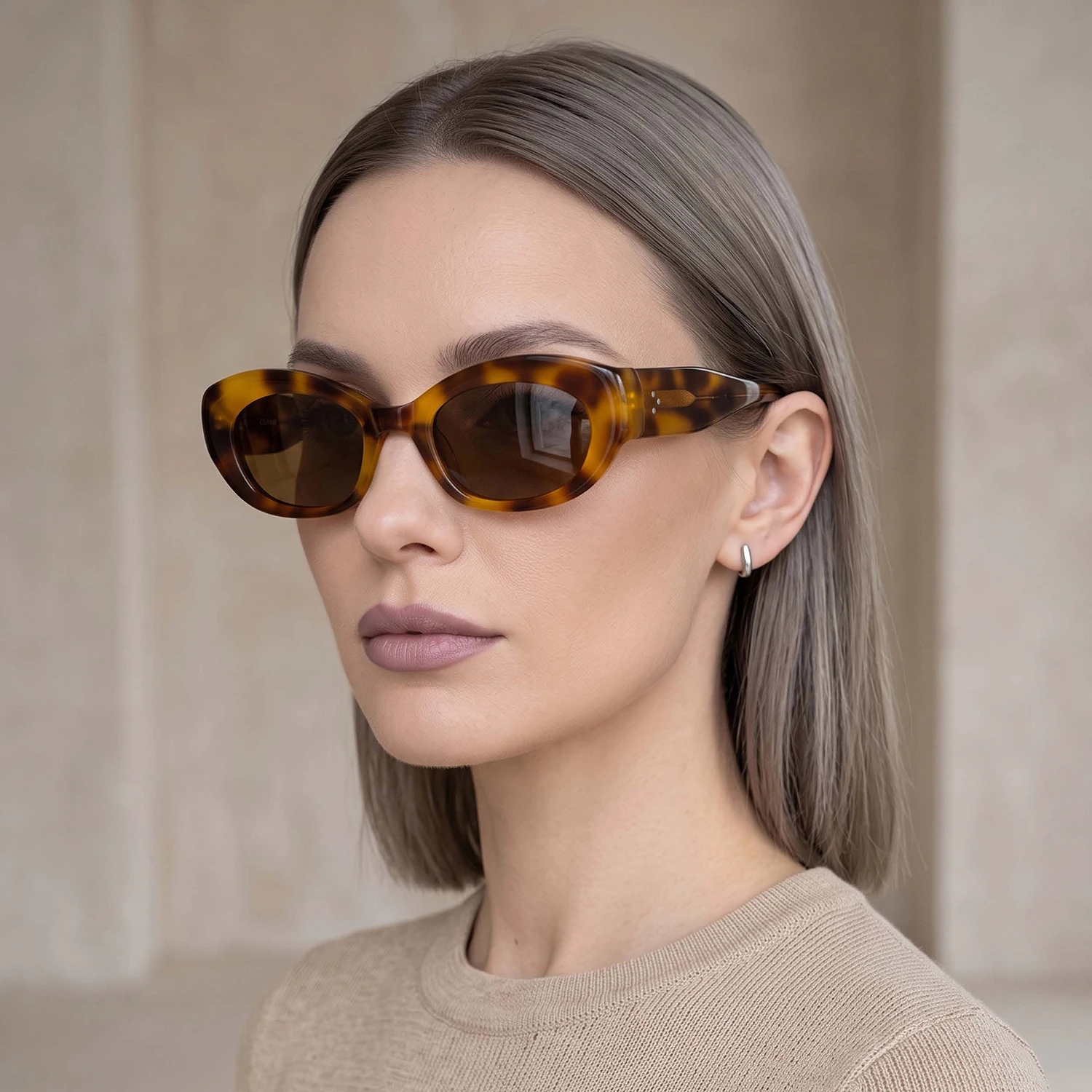 2026 New Stylish Women's Sunglasses High-quality Acetate Sunglasses
