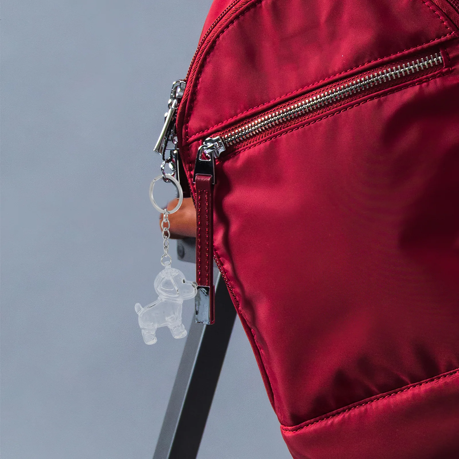 

4Pcs Transparent Pet Hair Keepsake Box Capsule Dog Hair Storage Container Portable Keychain Memorial Gift for Pet Owners