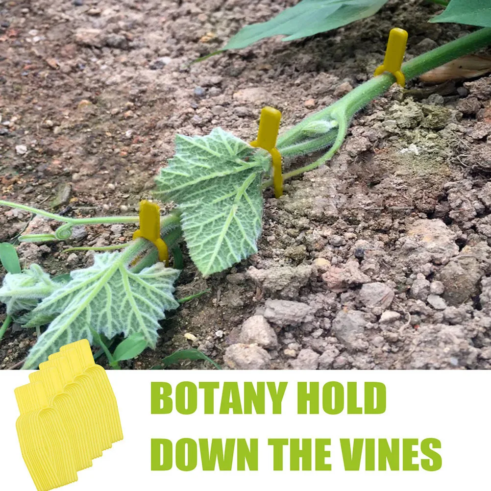 

150pcs Plant Support Clips Garden Vine Fixators Reusable Plastic Clamps For Strawberries Watermelon Peanut Vines Pp Stem