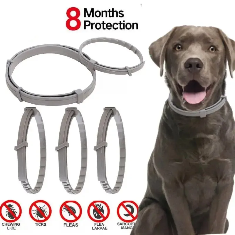 Dog Anti Flea And Ticks Cats Collar Pet 8Month Protection Retractable Pet Collars For Puppy Cat Large Dogs Accessories