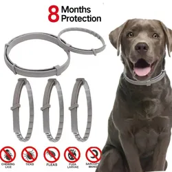 Coleira anti pulgas e carrapatos, Proteção de 8 meses, Coleiras retráteis para cachorros e gatos, Acessórios para cães grandes