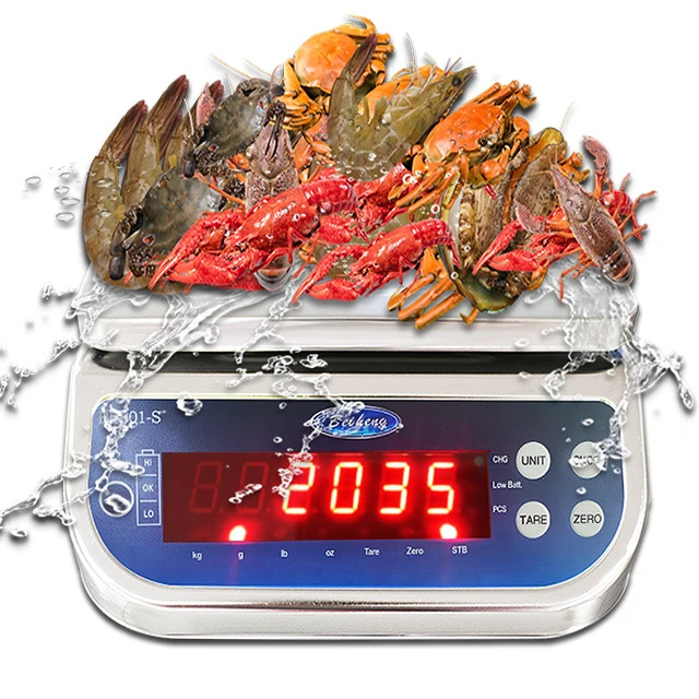 New Design Industrial Electronic Waterproof IP68 Stainless Steel Digital Weight Table Top Scale Weighing Scales