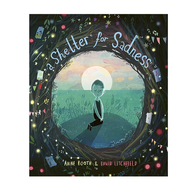 

David LitchfieldA Shelter For Sadness David Litchfield Templar Publishing 9781787417212 Book