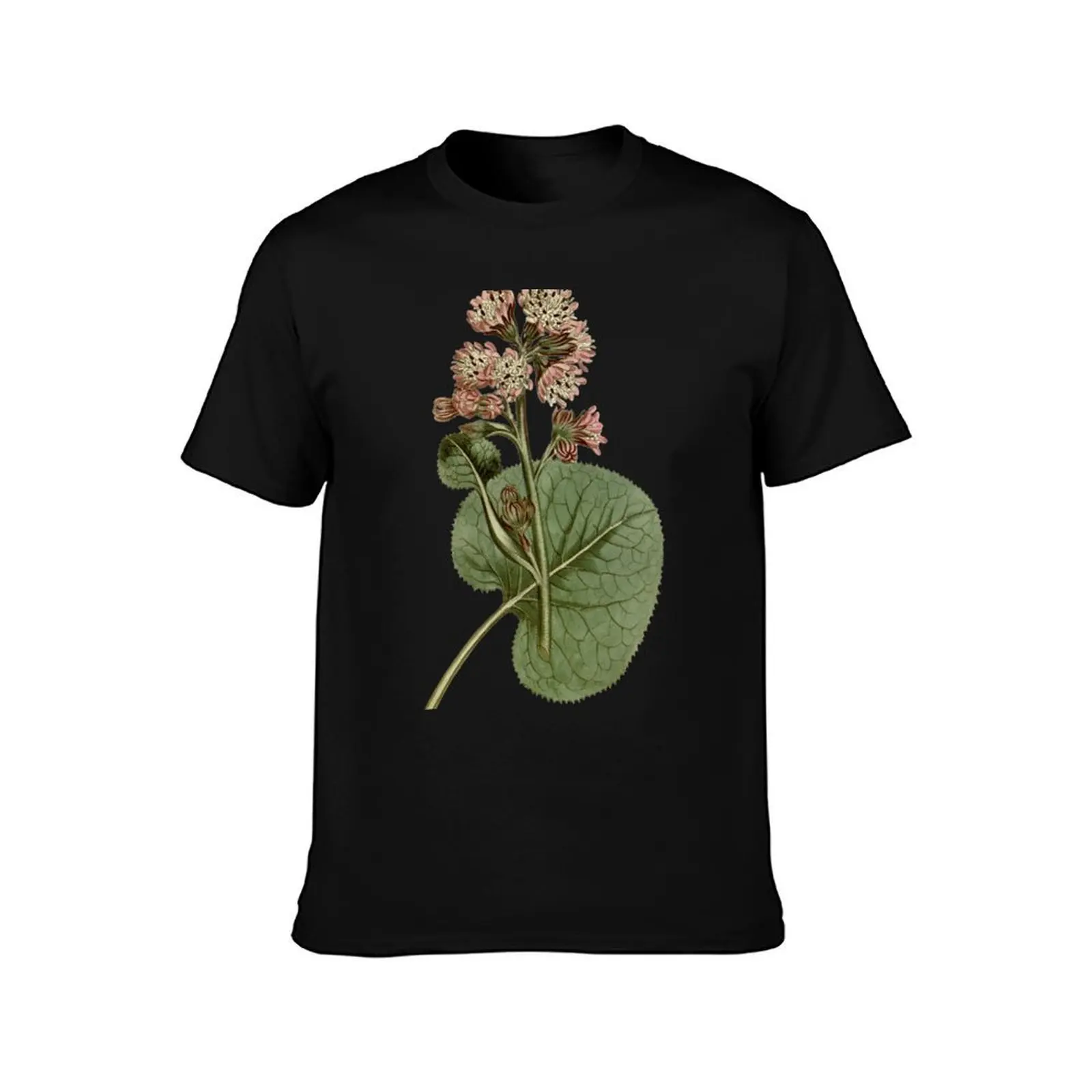 Vintage Botanical Illustration Italian Flora T-Shirt, Summer Casual Cotton Tee, Oversized Streetwear Tops, Vintage Graphic Print