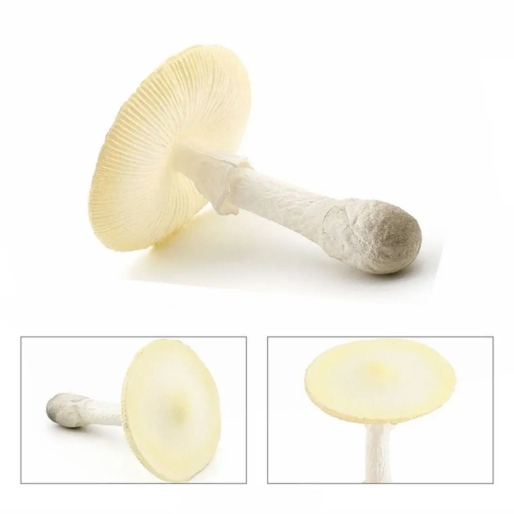 

Vegetable Model Fungus Figurines Landscape Miniatures Artificial Simulation Mushroom Plant Pleurotus Fungus Model