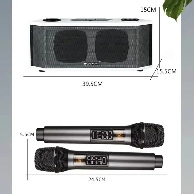 Professional Wireless Bluetooth Speakers with 2 MIC DSP Suitable for Outdoor KTV Active Home Karaoke Portable 100W High Power