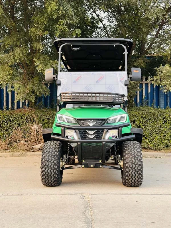 سيارات البيع المباشر من المصنع عربات الجولف الكهربائية المخصصة #4