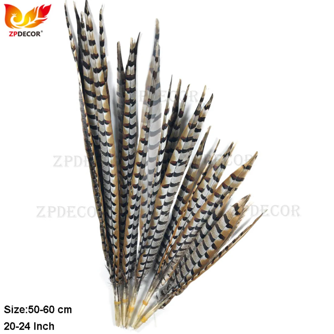 Natural Reeves Pheasant Feathers 50-60cm Long for Home Decor 20-24 Inch Natural Plumes for Craft And Art Supplies