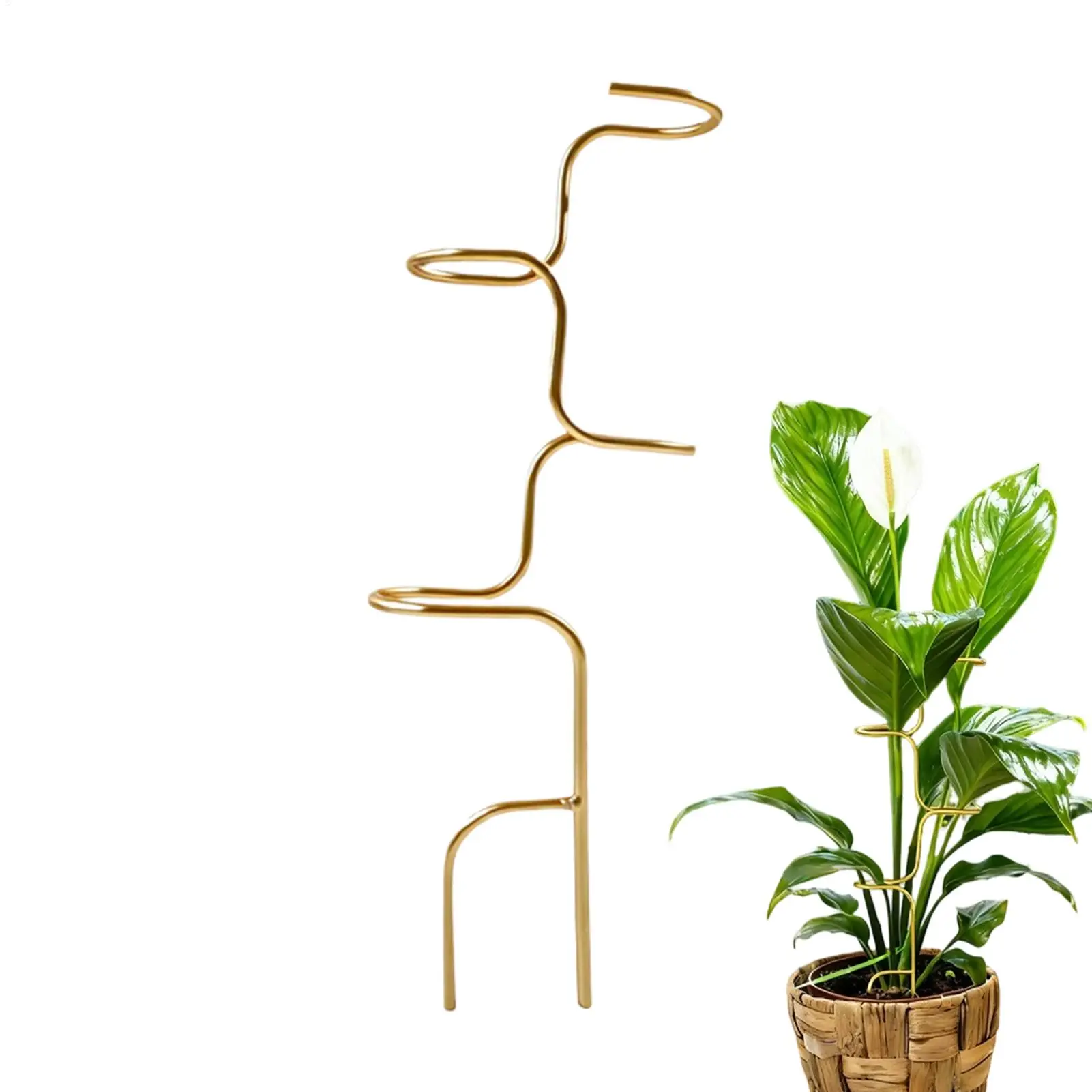 Garden Plant stem fixing support frame Metal Rose Stem Support Stakes for Home Gardener Orchid Peony Amaryllis