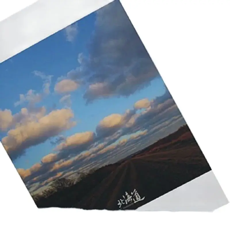 

6pcs/set "Charming City Series - Hokkaido" Urban landscape Postcard /Greeting Card/Birthday Card/Christmas gifts