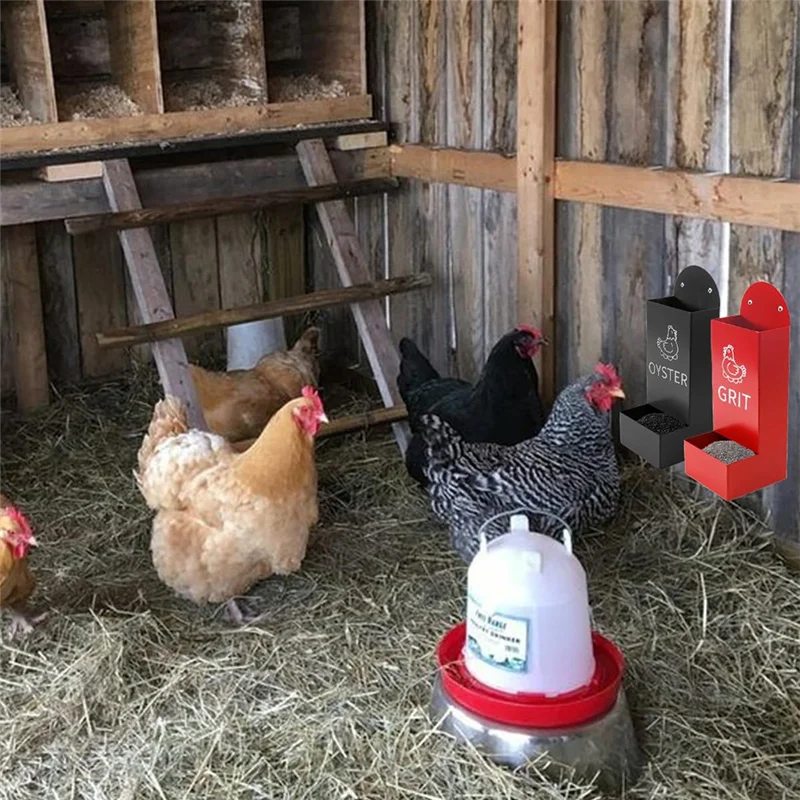 

AB42-Chicken Oyster Shell Feeder And Grit Feeder Metal Chicken Feeder Chicken Coop Accessories Automatic Chicken Feeder