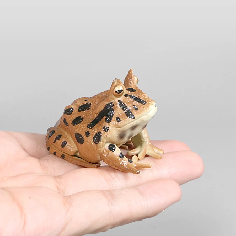 Realistic Frog Animal Models Insects Figurine Action Figures Farm animal Treefrog Plastic Models For Children Toys