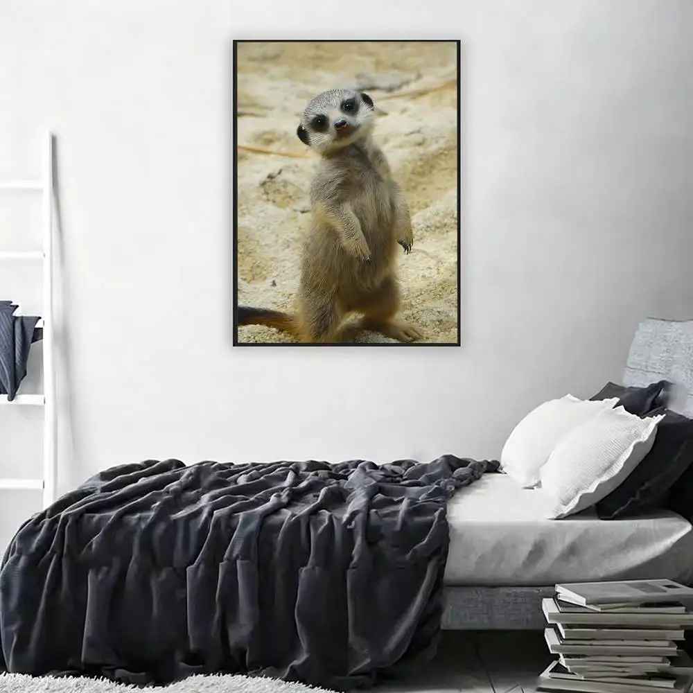 Cute Baby M-Meerkat Retro Fashion Pictorial Poster Sticky Poster Paper Sticker DIY Room Bar Cafe Wall Decor Gift