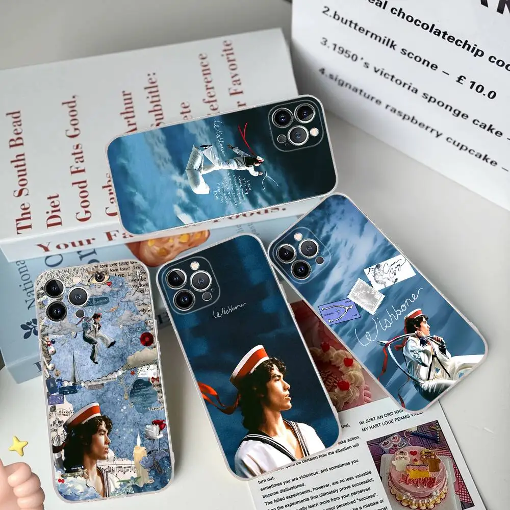 

C-Conan Gray Wishbone Transparent Soft Phone Case For IPhone 15 12 14 16 17 13 Plus 11 Pro Max 13 Pro