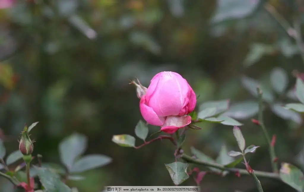 

Комплект из 4 алюминиевых классических дисков 1.9 Beadlock для радиоуправляемых краулеров 1/10: Axial SCX10, TRX4, Bronco, MST CFX, 86100, YK4102, TF2