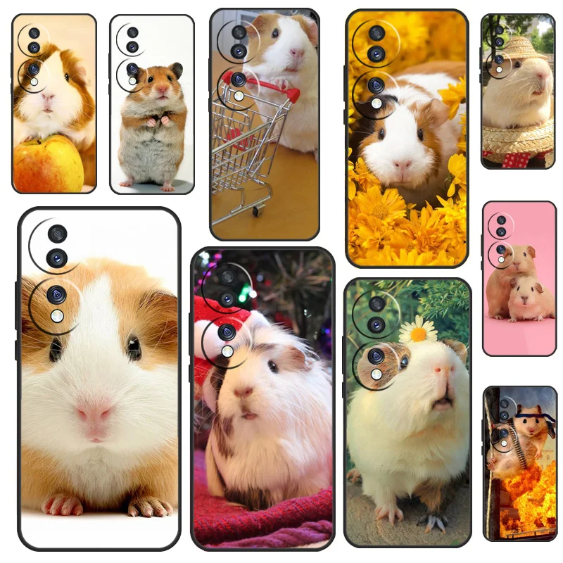 Squirrel Guinea Pig… - image