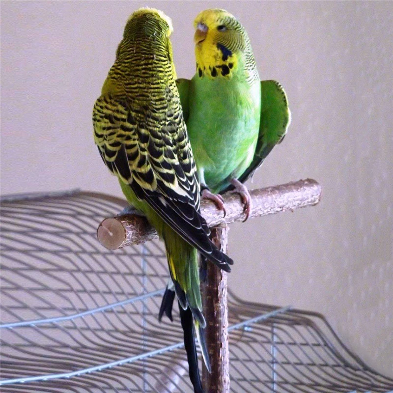 Pet Parakeet Budgie Hanging Play Toys Bird Cage Wood Branch Stand Perches Parrot Wooden Holder Perches