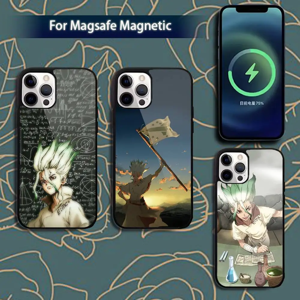 

D-Dr Stone Phone Case For iPhone 17,16,15,14,13,12,11,Pro,Max,Plus,Mini,Magsafe,Magnetic Wireless Charging Case