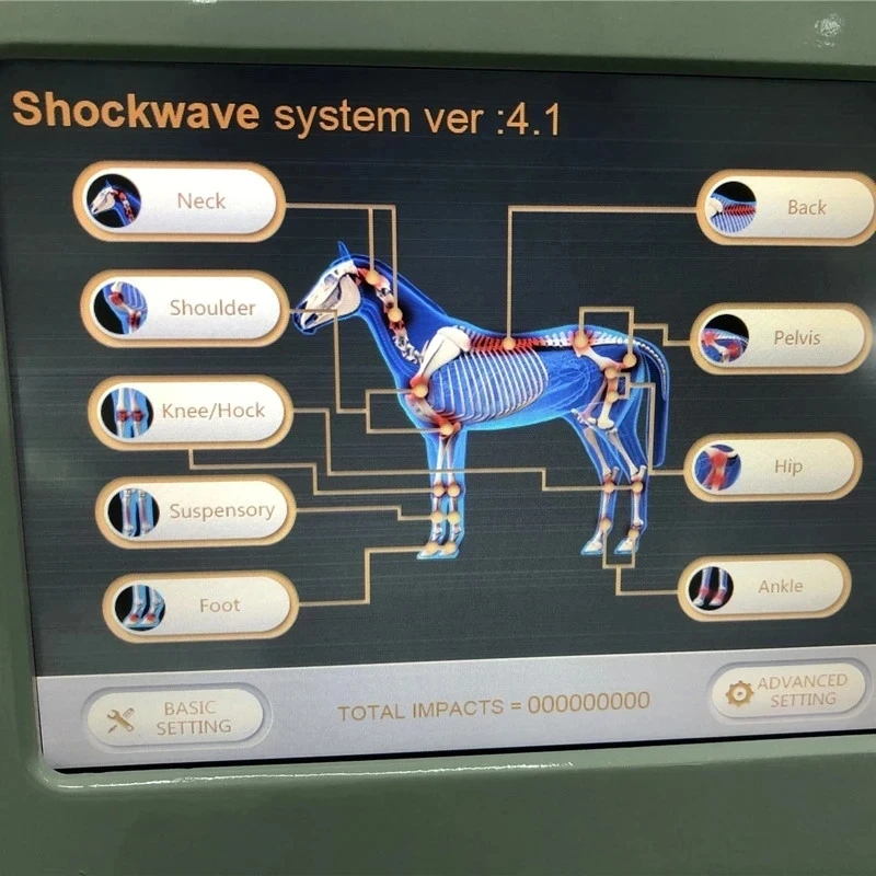 Benefit for horse and animals Veterinaria shockwave therapy machine equine shock wave