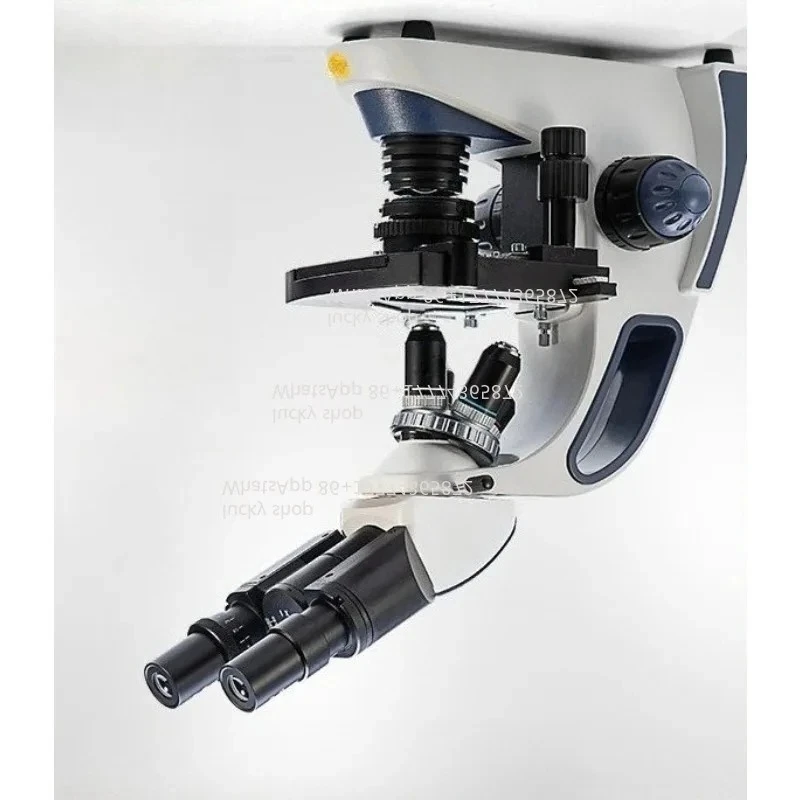 High Magnification Optical Microscope for Teaching Binocular and Trinocular Detection