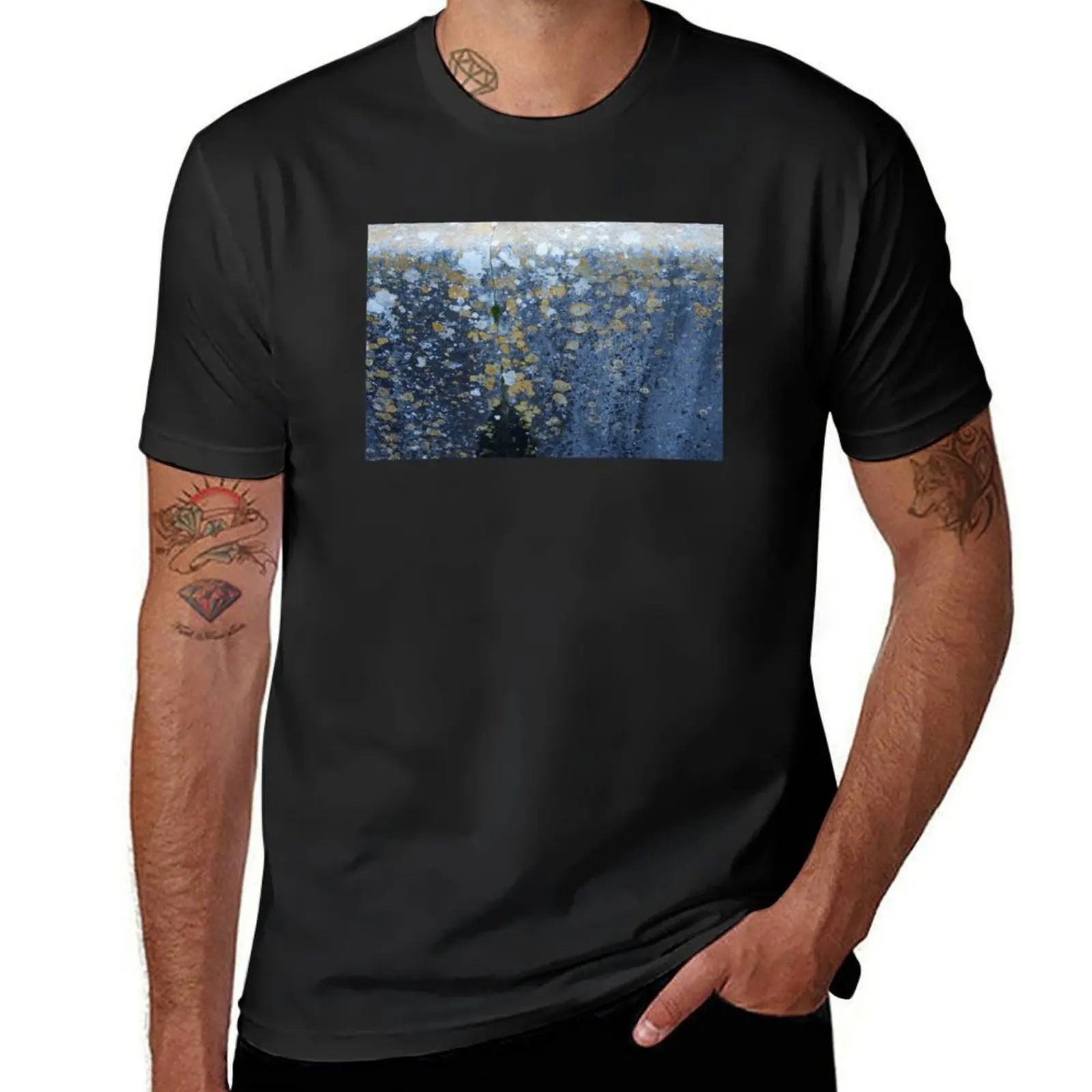 Ancient gravestone covered with lichen, detail shot. T-Shirt korean fashion anime sublime Blouse men t shirt