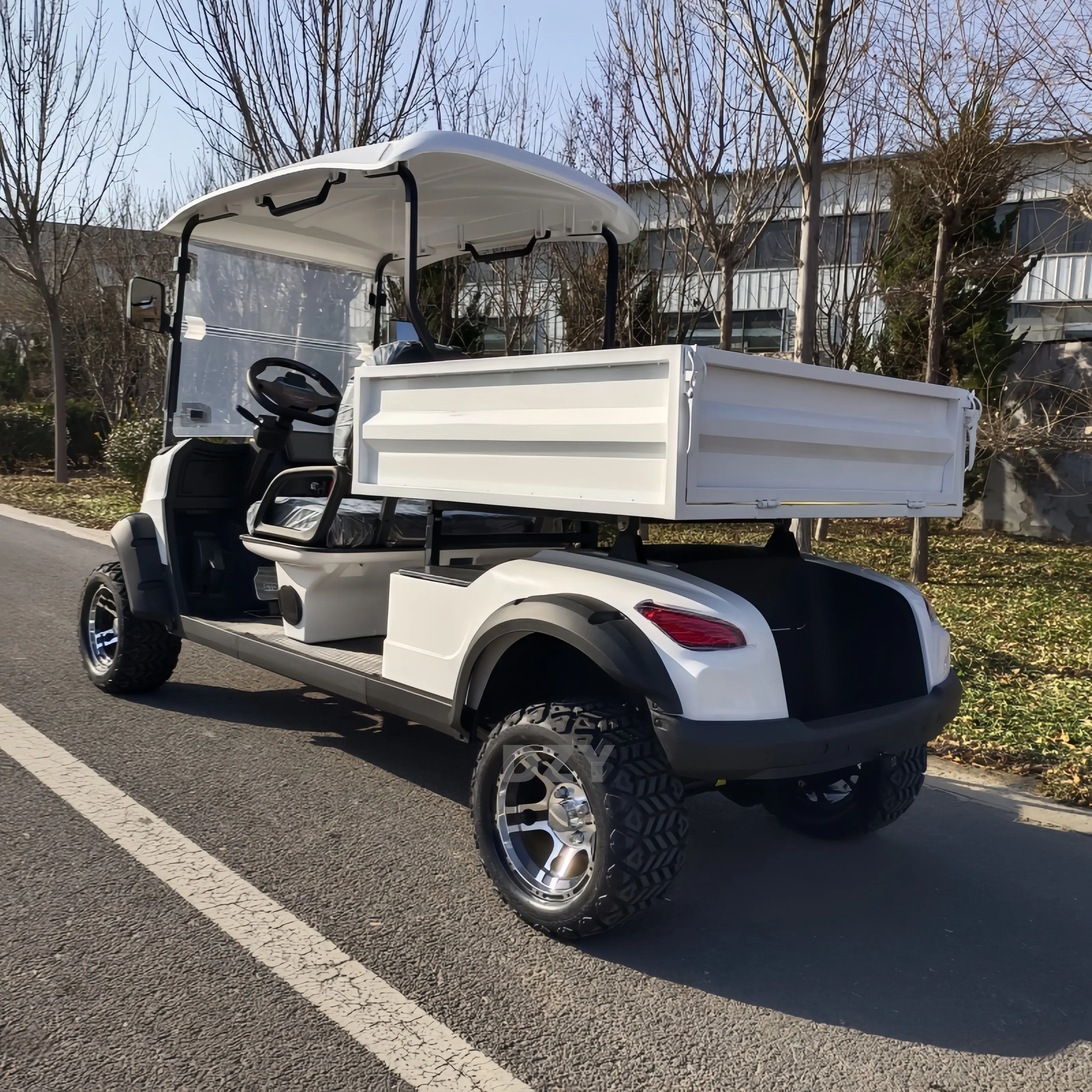 2025 Заводская поставка Мини-электрическая внедорожная тележка для гольфа Высокое качество Клубный автомобиль 2 сиденья 5 кВт Двигатель Сертификат EEC 48 В-72 В Оптовая продажа
