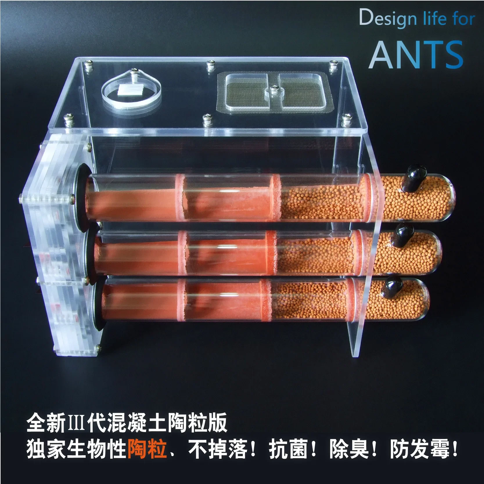 Pet Ants/Three 25 * 200mm Bamboo Joint Concrete Nests/Bamboo Joint Nests/Ant Villa Homeland Workshop