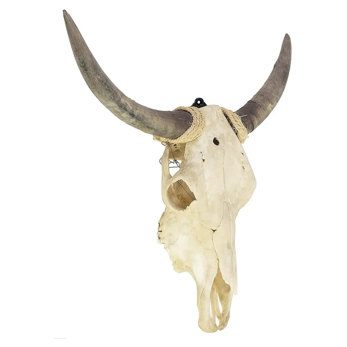 A013 12 Packs Mount Skull Hanger, European Style Deer Head Bracket, Wall Mount for Antelope with Simple Easy Installation Kit