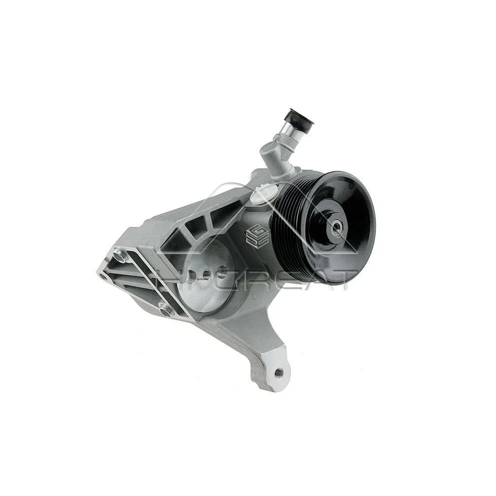 

Car Hydraulic Power Power Steering Pump 504000927 For Fiat DUCATO F1AE0481C