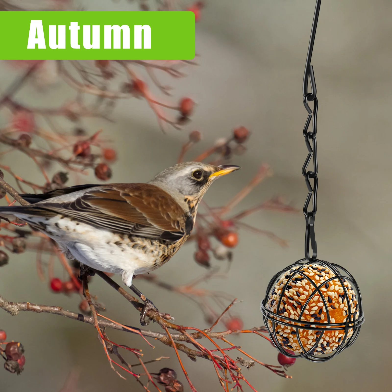 Ball Metal Bird Feeder Set Bird Feeding Station Kit Hanging Hummingbird Feeders Squirrel Proof Bird Feeders Outdoor Garden Decor