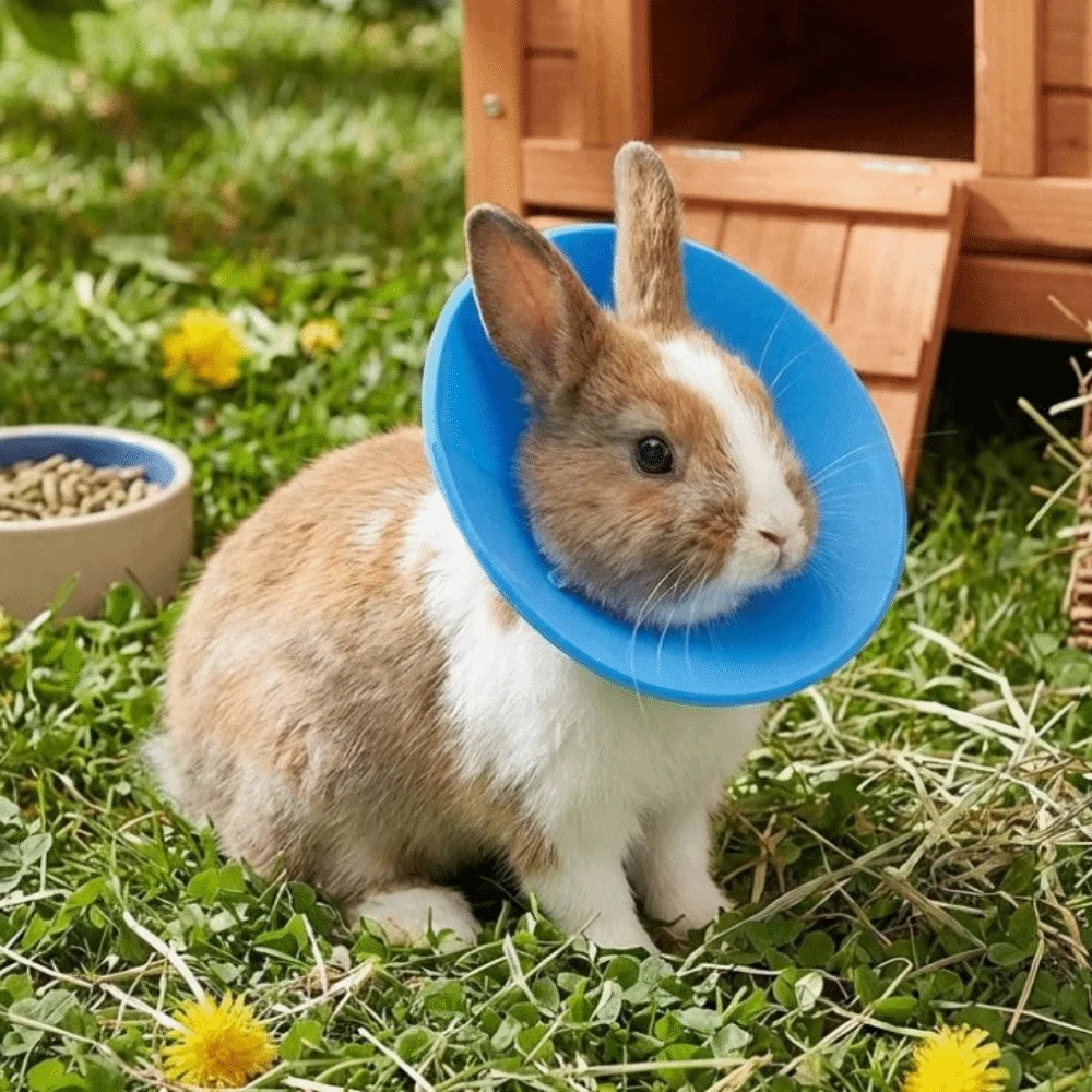 

Anti-Bite Pet Elizabethan Collar Adjustable Comfortable Anti Licking Collar Anti Scratch Soft Elizabethan Collar Wound Care