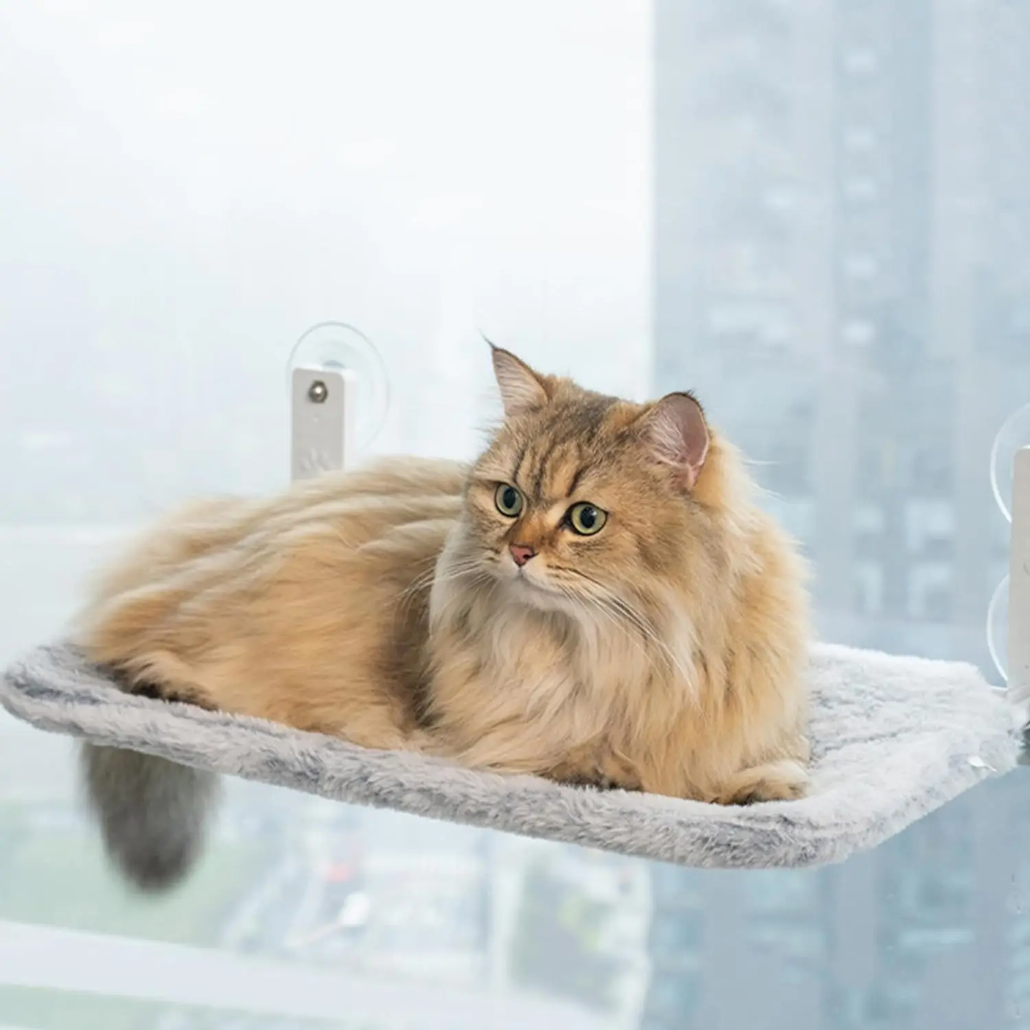 

Cat Window Hammock, Foldable Cat Window Perch, with 4 Latest Screw Suction Cups,Bearing 18kg,Pet Accessories,Aerial Cat Bed