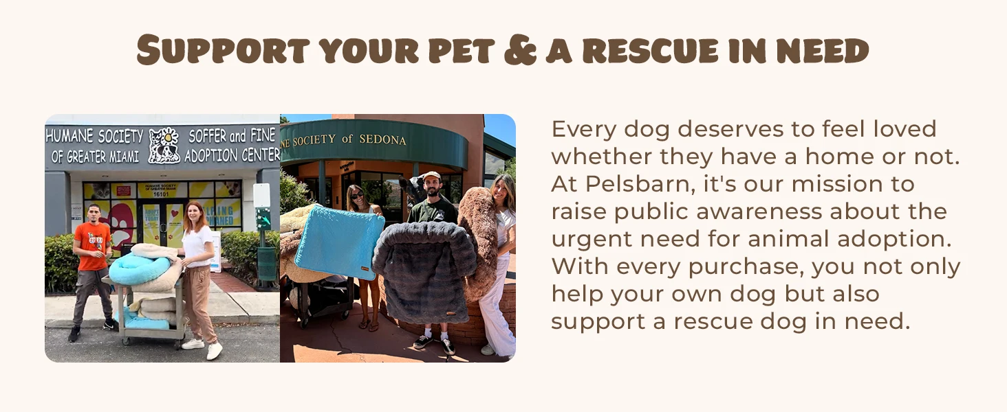 beds for  dogs