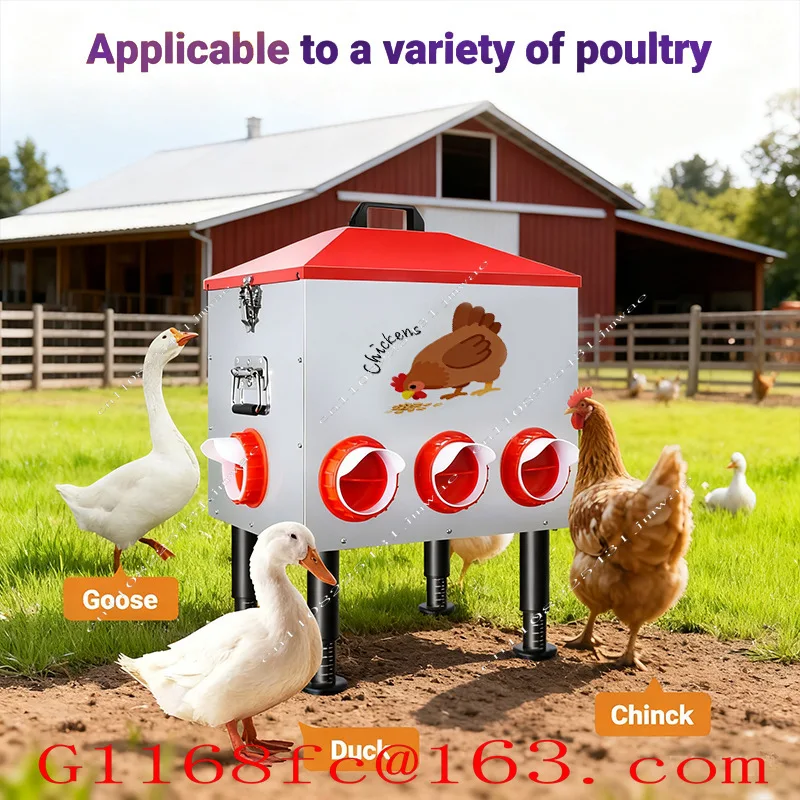Feeder, Chicken Trough, Food Box, Chicken Feed Trough, Equipment, Poultry Automatic Feeding, No Waste