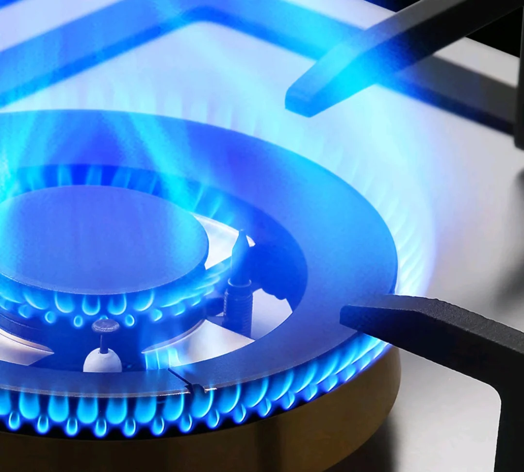 Wholesale Factory Price Stainless Portable Double Burner Gas Stove for Modern Kitchens