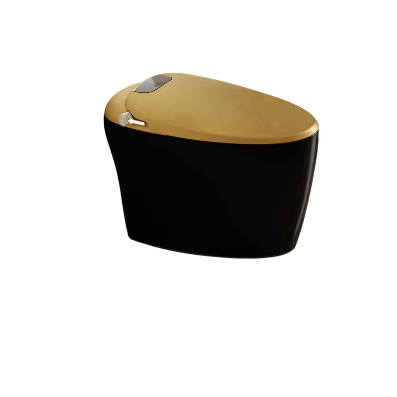 

Golden Intelligent Voice Foam Shield Integrated Automatic Induction Household Matte Black Heating