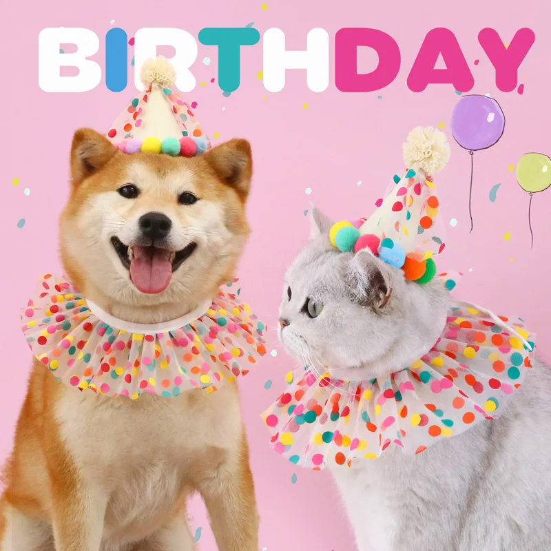 Pet Birthday Lace Bib Birthday Hat Suit Kitty Dog Colored Dots Collar Photo Birthday Accessory