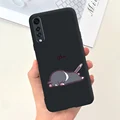 case-c24