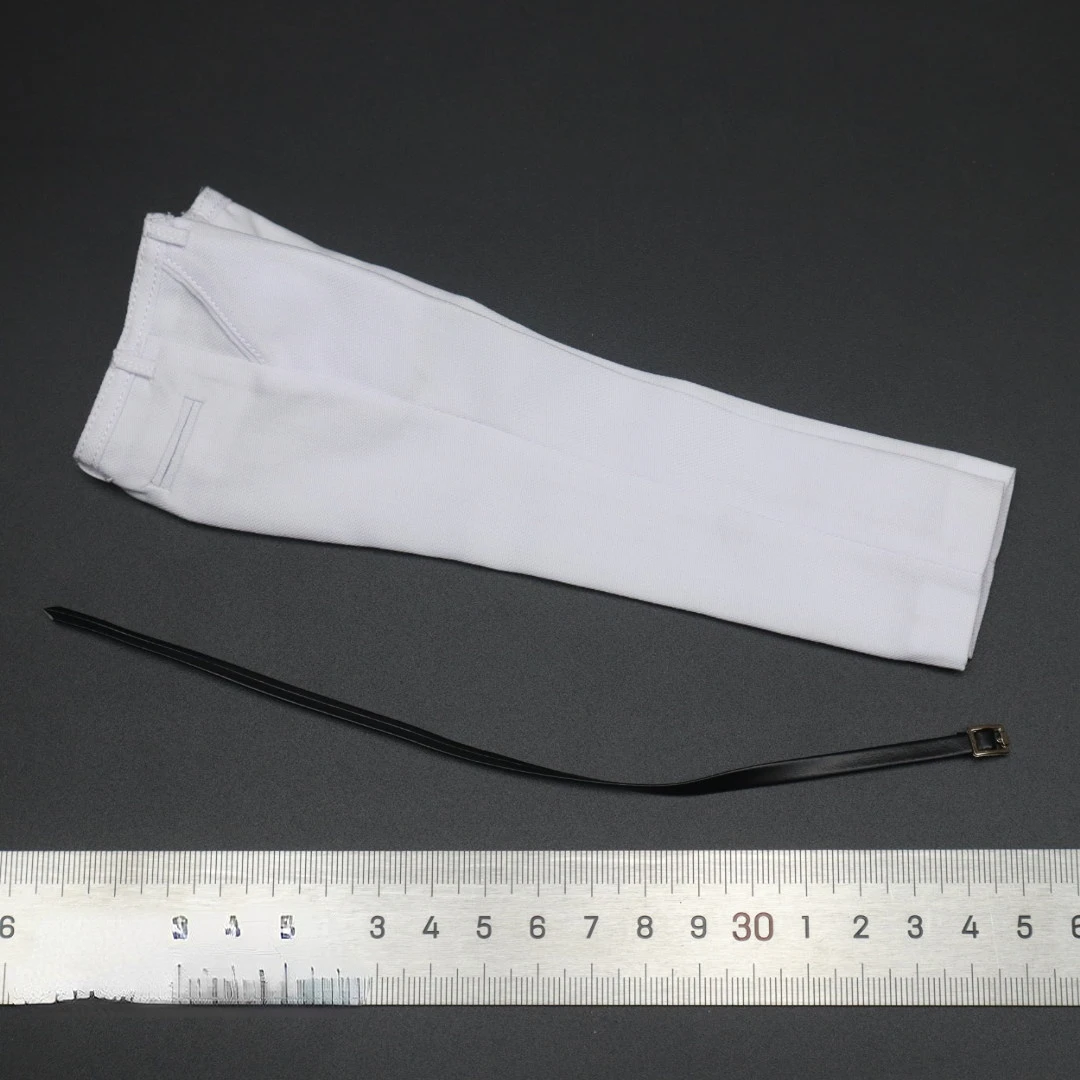 1/6 Scale male soldiers White Pants Office Formal Straight Business suit pant fit 12 inches body model