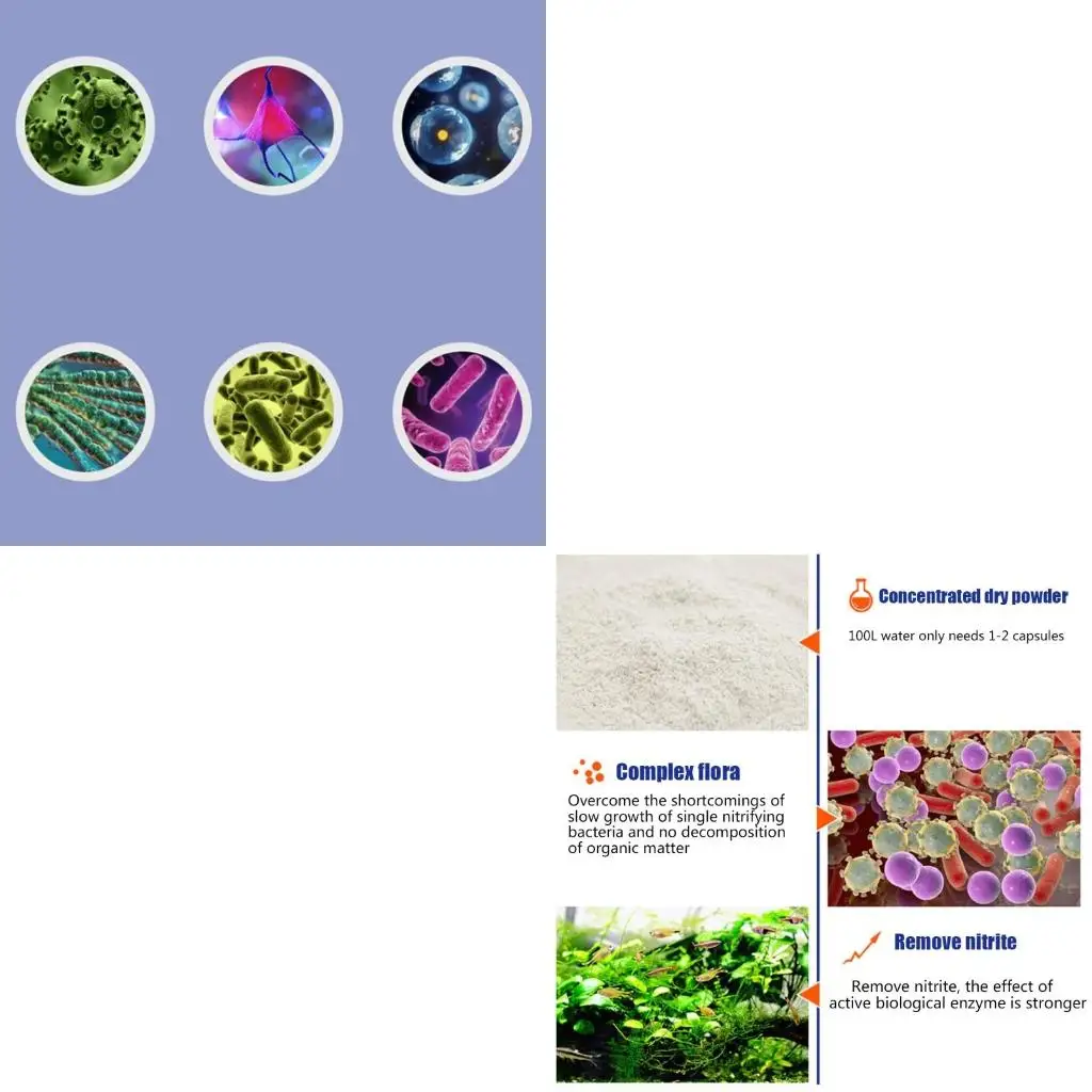 50Pcs/Bottle Aquarium Nitrifying Fish for Tank Pond Cleaning for Fresh Water Concentrated Capsule