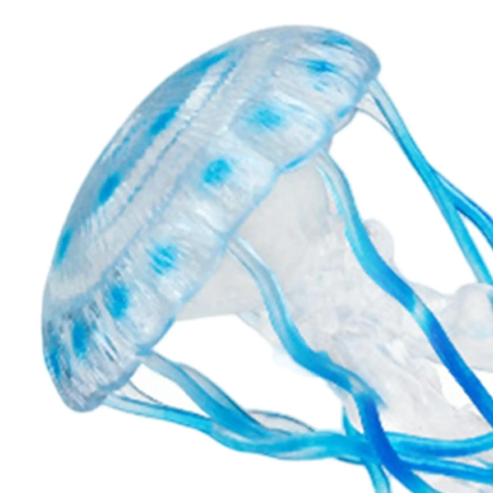 Kit giocattolo per adulti con polipo di uova di meduse Figure giocattolo di biologia Montessori per l'apprendimento cognitivo della prima infanzia