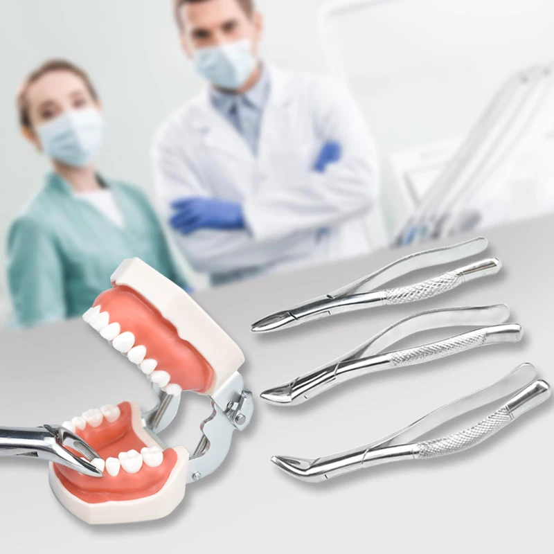 

Высококачественные щипцы для удаления зубов из нержавеющей стали для взрослых, набор хирургических инструментов для стоматологических клиник