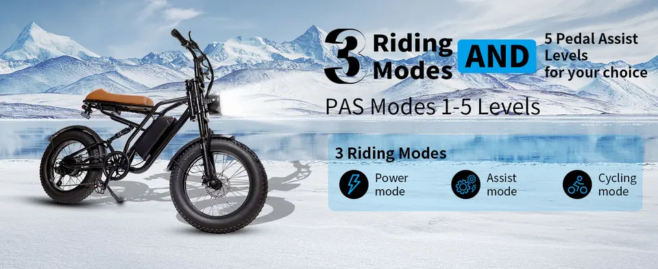 Long-Range 750W Off-Road E-Bike with 20x4" Fat Tires, 48V 15.6Ah Removable Battery. 50km Range, 43km/h Top Speed, Dual Comfort Seats, Front Suspension, Shimano 7-Speed. 3 Riding Modes, IPX4 Waterproof. Fast US Shipping image 2