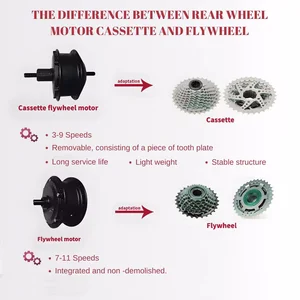 Ebike wheel cube kit, 36V, 48V, 250W, 350W, 500W, rear cube engine, cassette, free wheel electric conversion Main Bicycle Motor Sales - №2