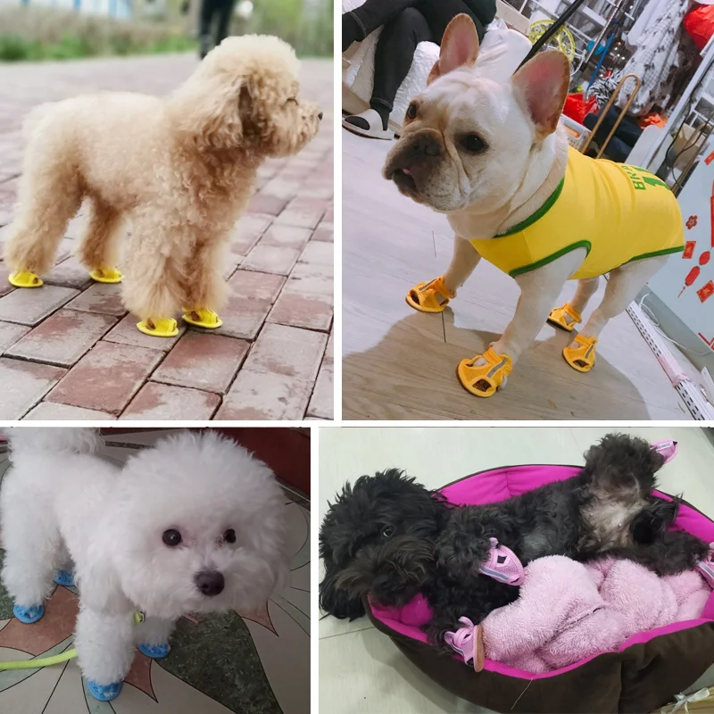 Thumbnail 2 - #7 Latest Puppy Boots Updates