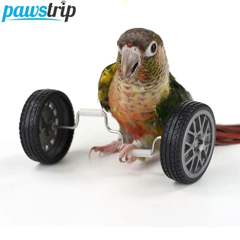 Creative Parrot Balance Toy Interactive Birds Toy Mini Intelligence Training Toy Pet Toy for Small Medium Birds Pet Supplies