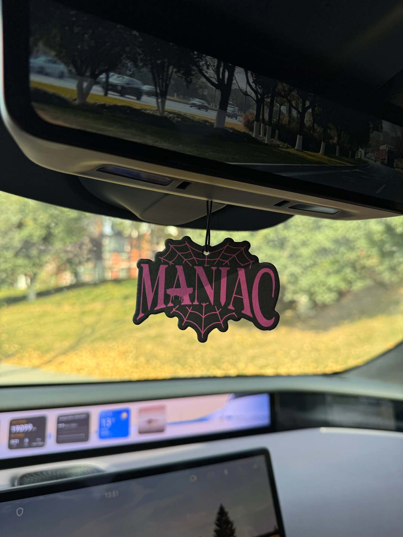 Ambientador de Coche con Diseñ - Home Fragrance Non Toxic reseña y precio