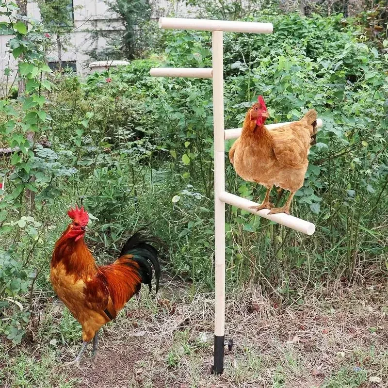 Chicken Standing Perch Outdoor Poultry Chicken Stand Perch Toy Playground Birds Training Branch Perch with Ground Plug For