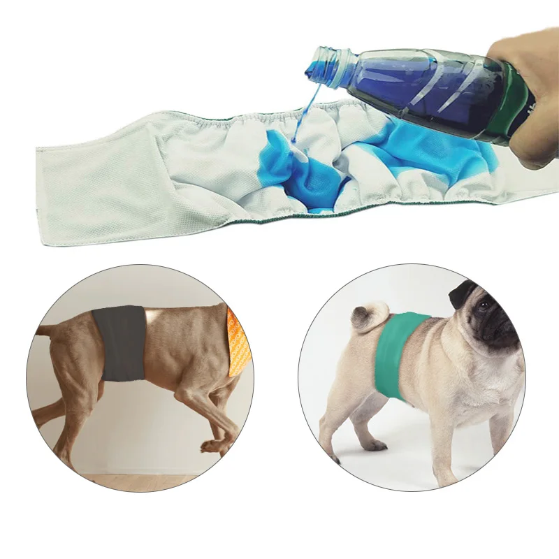 5 Colors Dog Diaper Sanitary Physiological Pants Washable Male Dog Shorts Panties Menstruation Underwear Brief Dog Nappy XS-XL