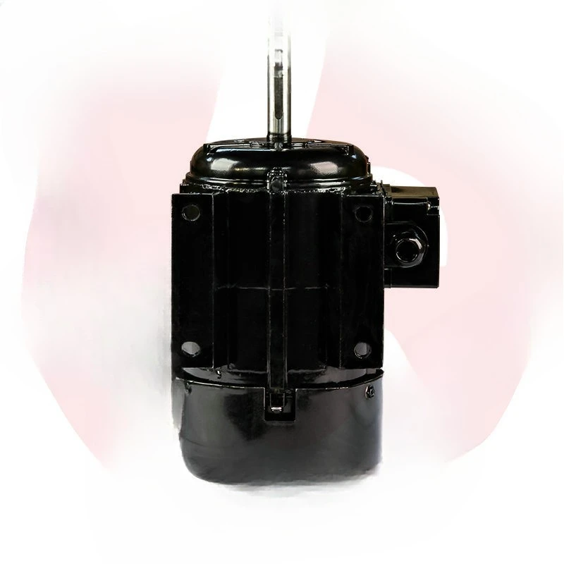 Vertical and horizontal three-phase asynchronous motor 750W 220V 380V copper core motor